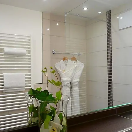 ホテル Garni Rheinpracht 4*