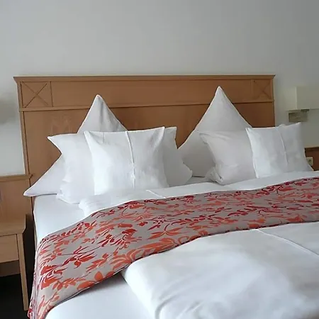 ホテル Garni Rheinpracht 4*
