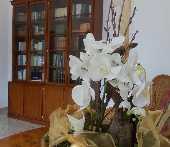 Hotel Garni Rheinpracht Kamp-Bornhofen